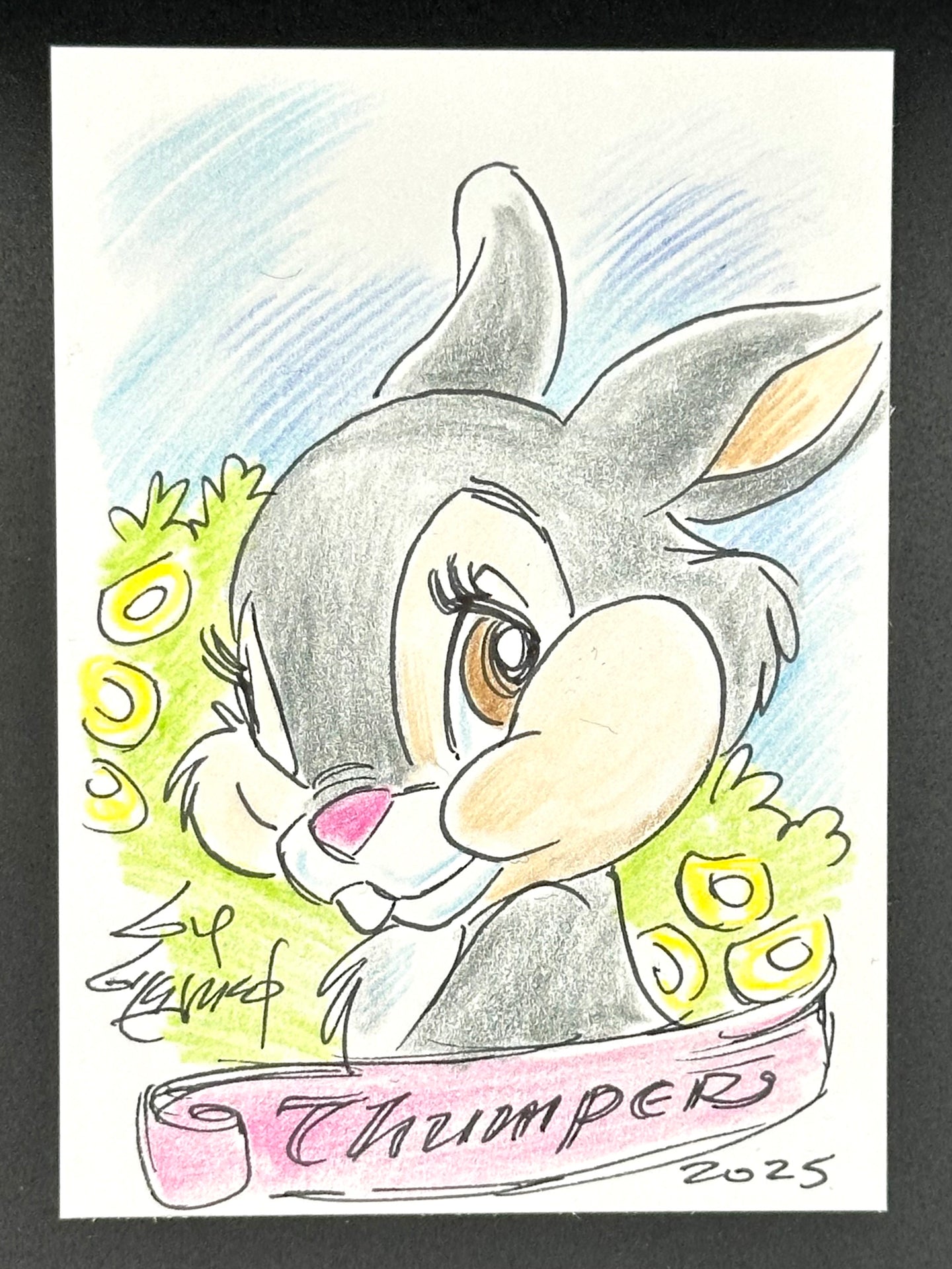 Thumper Trading Card - Guy Gilchrist Original