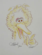 Load image into Gallery viewer, Big Bird - Guy Gilchrist Original
