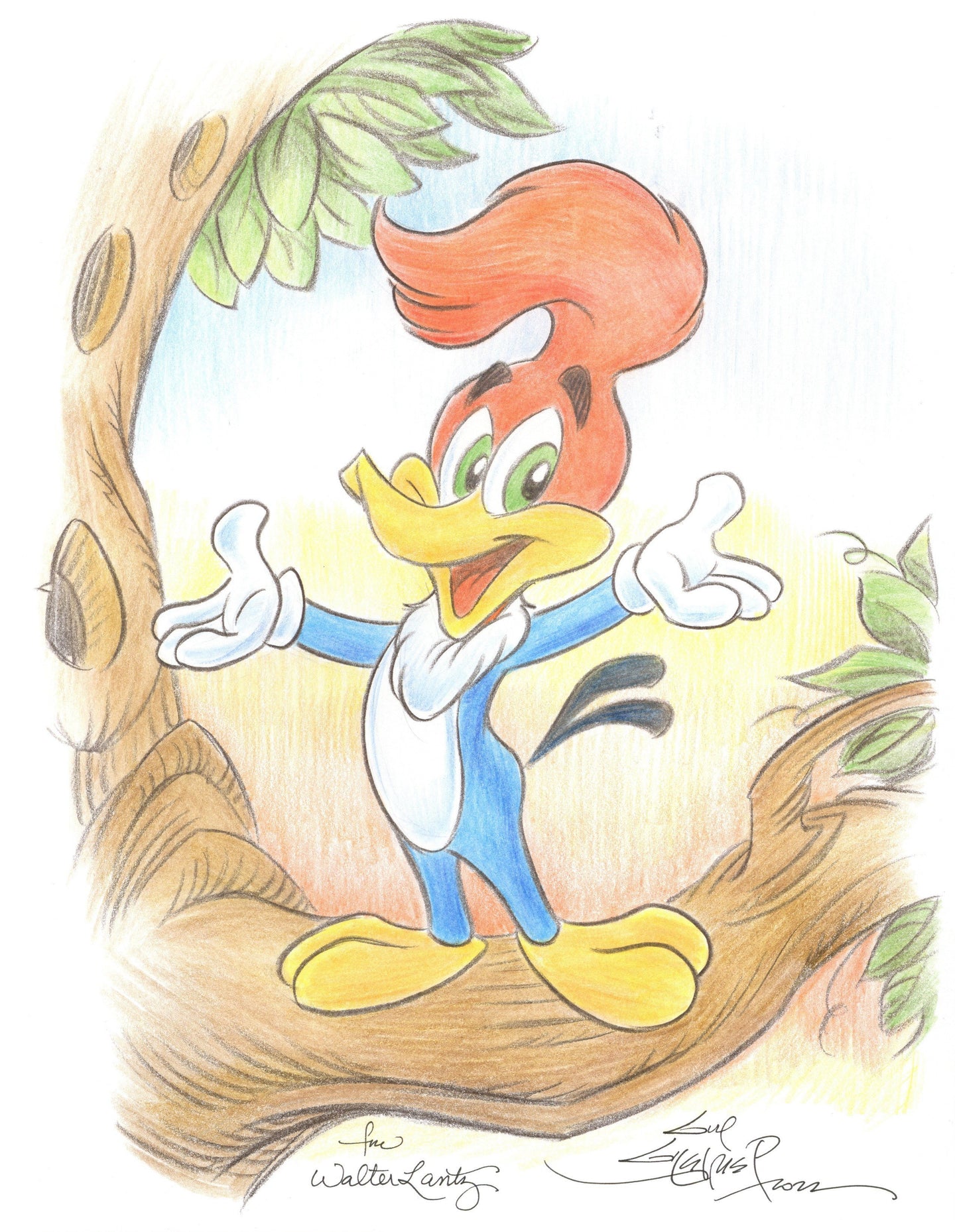 Woody Woodpecker Original Art 8.5x11 Sketch - Created by Guy Gilchrist